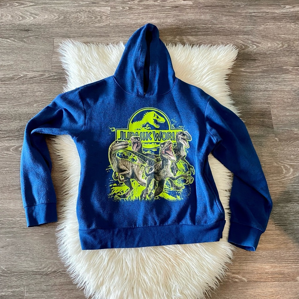Jurassic World Boys Large hoodie Heather Blue